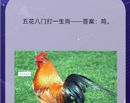 落草为寇打一准确生肖竟然是它？让你恍然大悟！