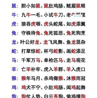 如醉如痴打一正确生肖，原来是这个属相！