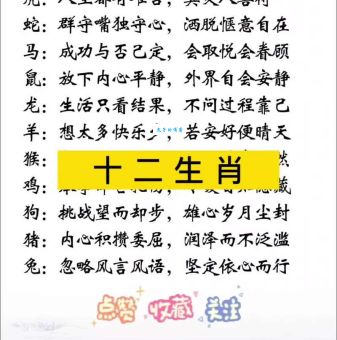 浮光掠影是什么生肖？看完这篇文章你就懂了