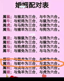骑马找马打一准确生肖谜底揭晓，看完瞬间明白！