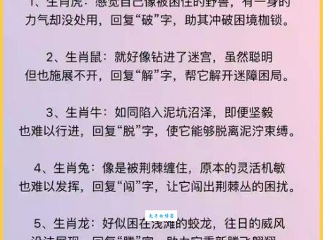 骑马找马打一准确生肖谜底揭晓，看完瞬间明白！