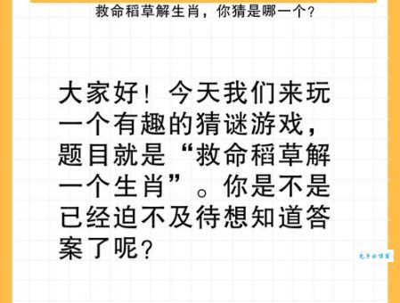 苦海无边打一正确生肖答案是什么？这篇告诉你！