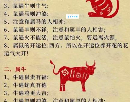 坐观成败是什么生肖？这里揭秘背后隐藏的生肖！