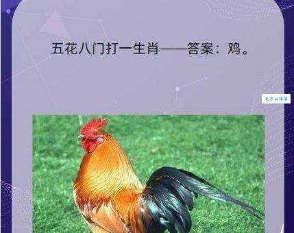 兴妖作怪是指什么生肖？一篇帮你全搞懂！