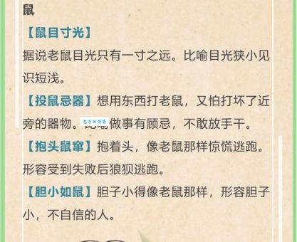 铺天盖地生肖大揭秘！看看是不是你想的那一个。