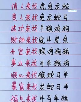 争分夺秒是什么生肖？原来答案这么简单！