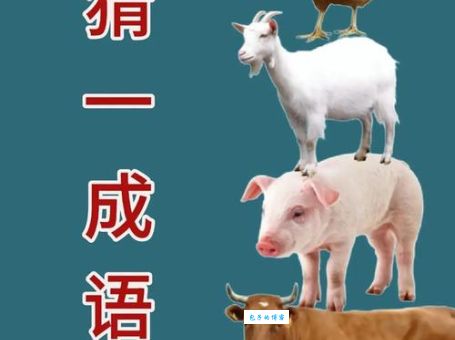 百战百胜是什么生肖？这回终于搞明白了！