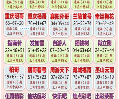 十五十六兄弟码打一正确生肖怎么猜？答案一看就懂！