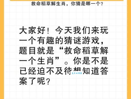 浪迹天涯打一个正确生肖,正确答案其实很简单!