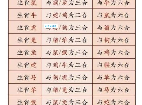 七出三一有财现打一最佳生肖，哪个生肖最有钱途？