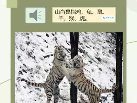 二十亩地两头牛是什么生肖？别再搞错了真相！