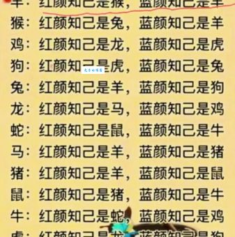 东船西航两头现打一准确生肖？高手揭秘答案！