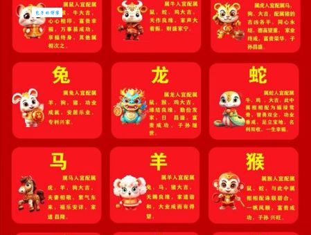 哪个生肖成双成对最准确？别再犹豫直接看这里！