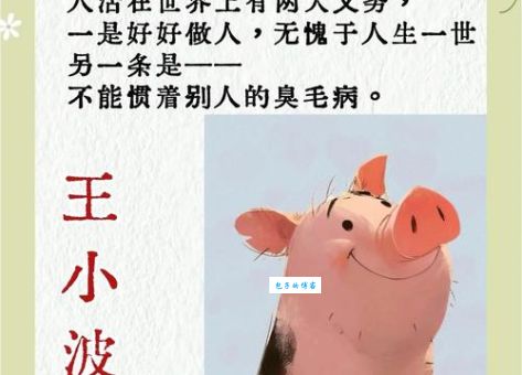 仰屋着书是什么生肖？看完这篇文章你就懂了！