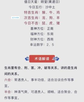 昏天黑地是什么生肖？快来揭秘这个神秘生肖