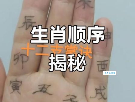 想知道铺天盖地打一正确生肖？这个口诀帮你记住！