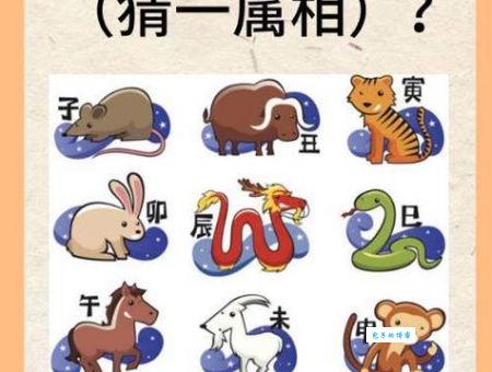 揭秘尽善尽美是什么生肖？看看你是不是其中之一！