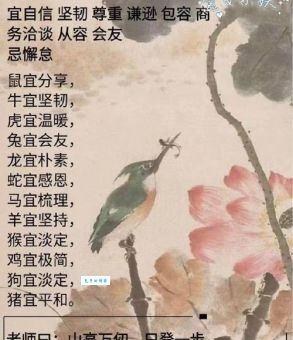 揭秘尽善尽美是什么生肖?看看你是不是其中之一!