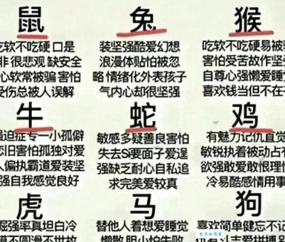 一应俱全是什么生肖?想知道答案看这里!