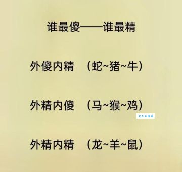 珠泪偷弹打一准确生肖怎么猜?轻松找到谜底!