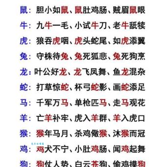 猜字谜：全神贯注打一最正确生肖，高手来挑战！