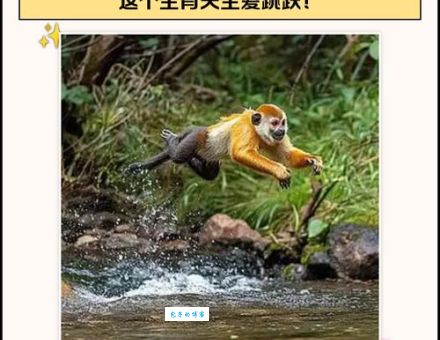 三过其门而不入打一正确生肖,这个谜题怎么解?