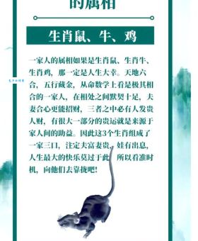 没斤没两打一最佳生肖的真实寓意,你知道几个呢?