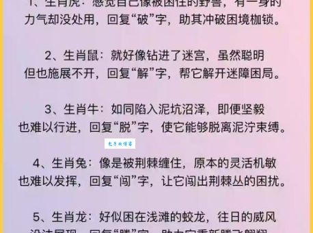 没斤没两打一最佳生肖的真实寓意，你知道几个呢？