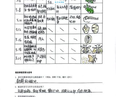 春蚕抽丝打一生肖，答案到底是什么？