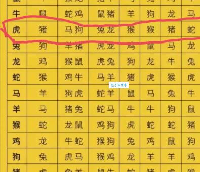 想知道四仰八叉是什么生肖吗?看完这篇你就懂了!