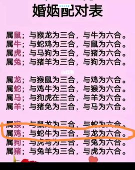 今生无悔九九情指什么生肖？资深专家为你解惑！