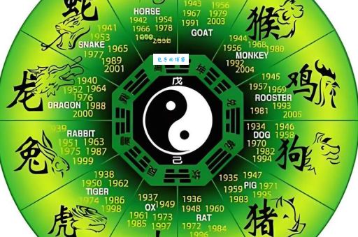 泰山压顶打一正确生肖的谜底，看完你就明白了！