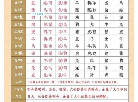 深度解析双六出现定大局的生肖,未来运势如何?