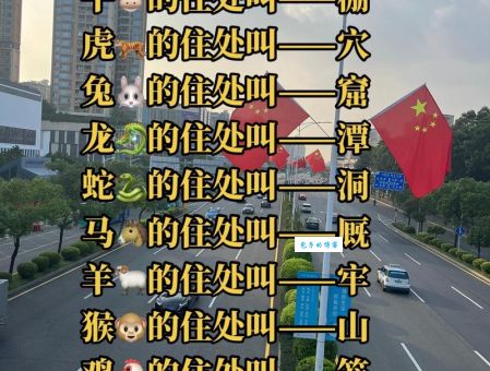 一知半解是什么生肖?帮你彻底搞清楚!