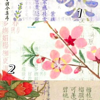 三尺童子正确答案一肖如何找?高手分享实用技巧!