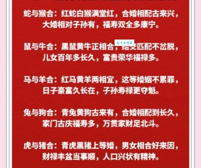 成双成对是什么生肖？这些生肖天生一对最甜蜜！