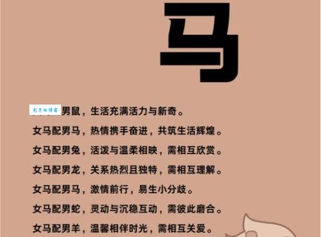 倚马可待是指什么生肖?看看你知道答案吗?