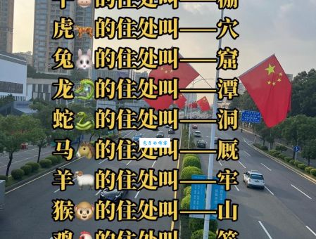 想知道东张西望打一正确生肖吗？答案在这里！