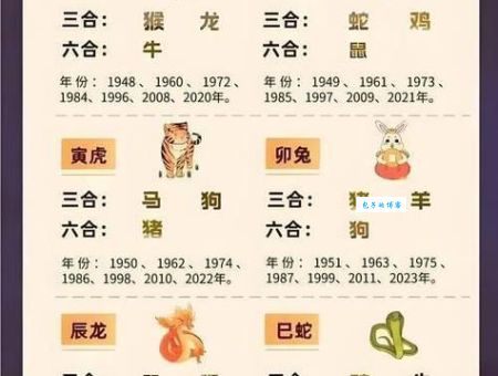 截然不同打一准确生肖到底是什么？很多人都猜错了！