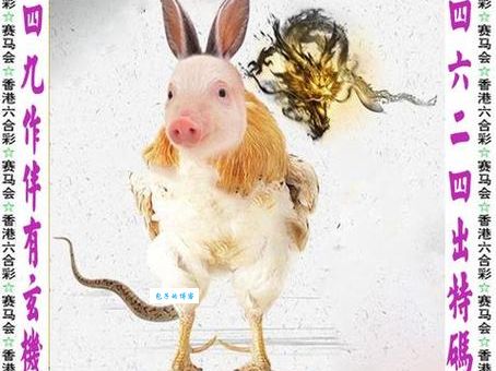 围魏救赵猜一肖到底是什么生肖？揭秘答案！