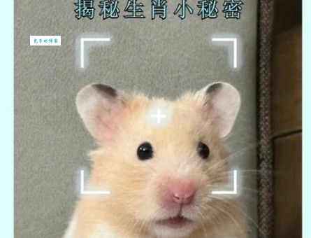 留取丹心照汗青是什么生肖动物?谜底就在这篇文章!