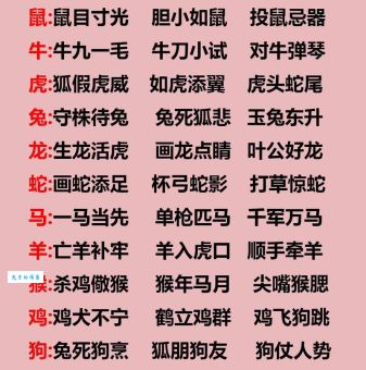 完璧归赵打一准确生肖生肖是什么？快来这里看真相
