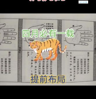 照猫画虎打一准确生肖：谜底揭晓让你恍然大悟！