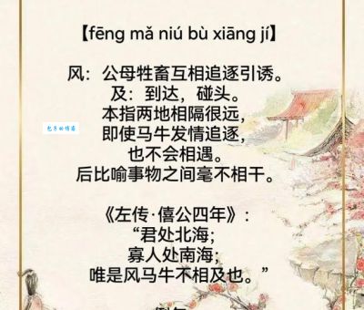 一文读懂西风落叶是什么生肖,不再困惑!