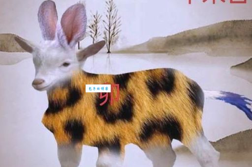 扇风点火打一正确生肖到底是什么?答案在这里!