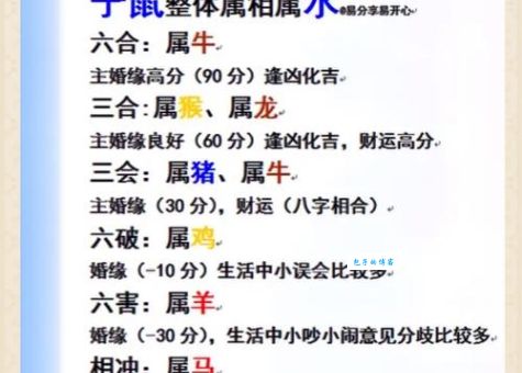 神气活现打一最佳生肖解析，专家带你了解其中玄机！