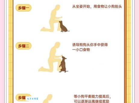 “狗急跳墙打一个正确生肖”怎么解？资深专家为你分析！