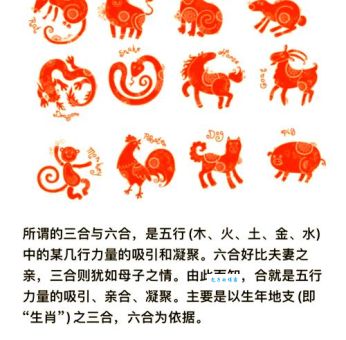 合家欢乐打一个正确生肖,高手一眼就看穿!