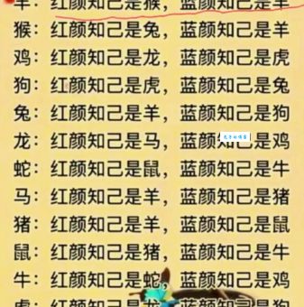 揭秘络绎不绝打一正确生肖,高手一眼就看穿!