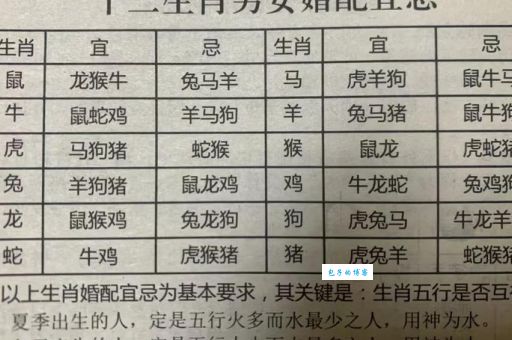 揭秘星罗棋布开过什么生肖？这些生肖你都见过吗？